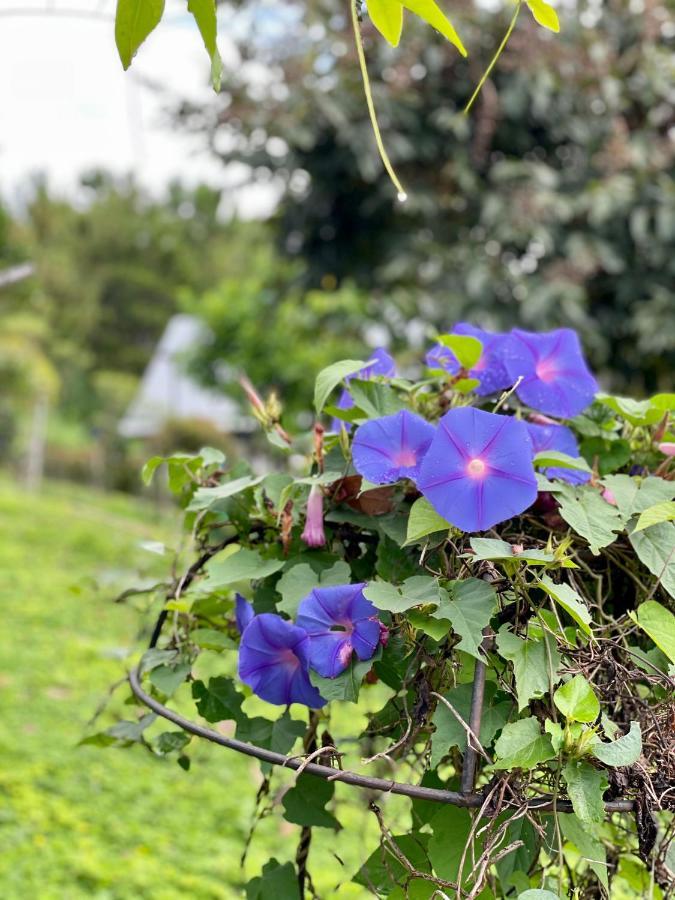 Tip House Villa Khao Kho Eksteriør bilde