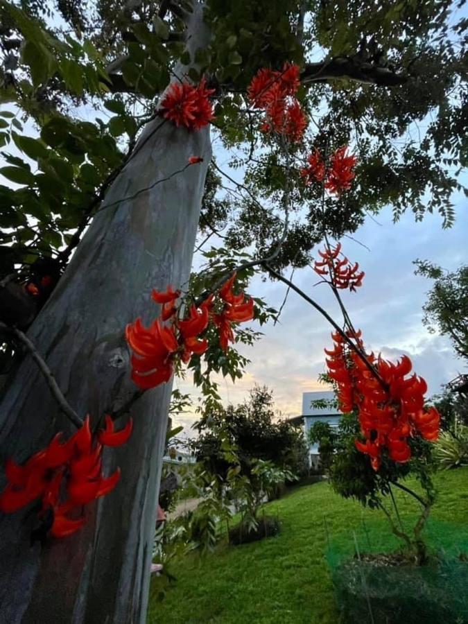 Tip House Villa Khao Kho Eksteriør bilde