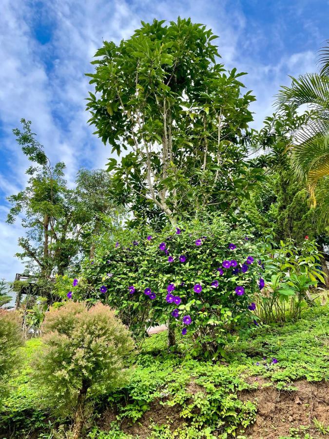 Tip House Villa Khao Kho Eksteriør bilde